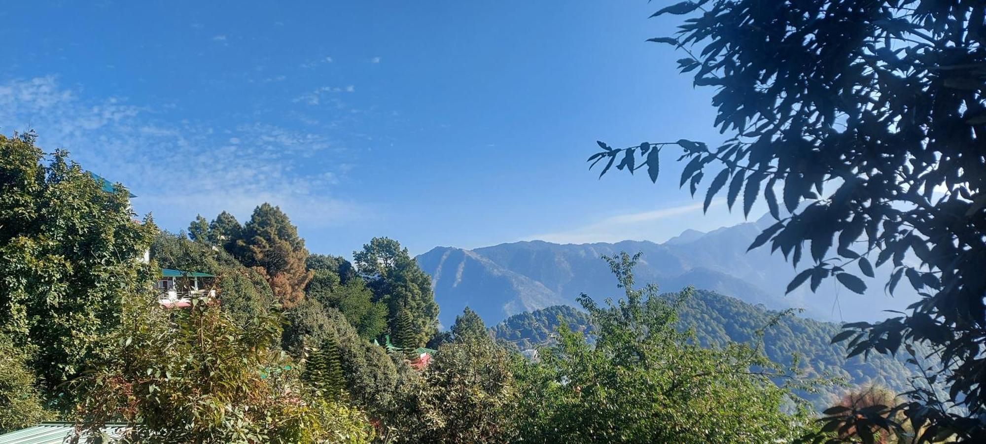 Blue Pine Resort Lansdowne Εξωτερικό φωτογραφία